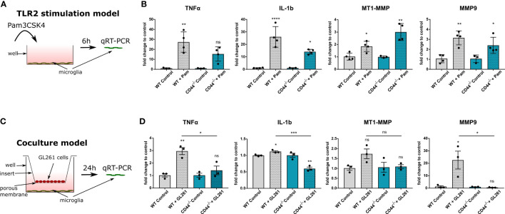 Figure 4