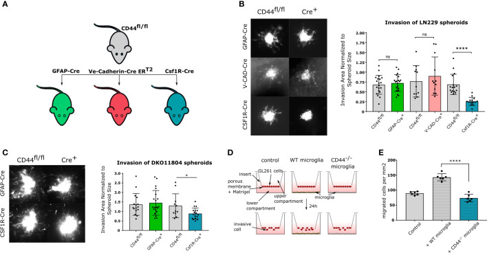 Figure 2