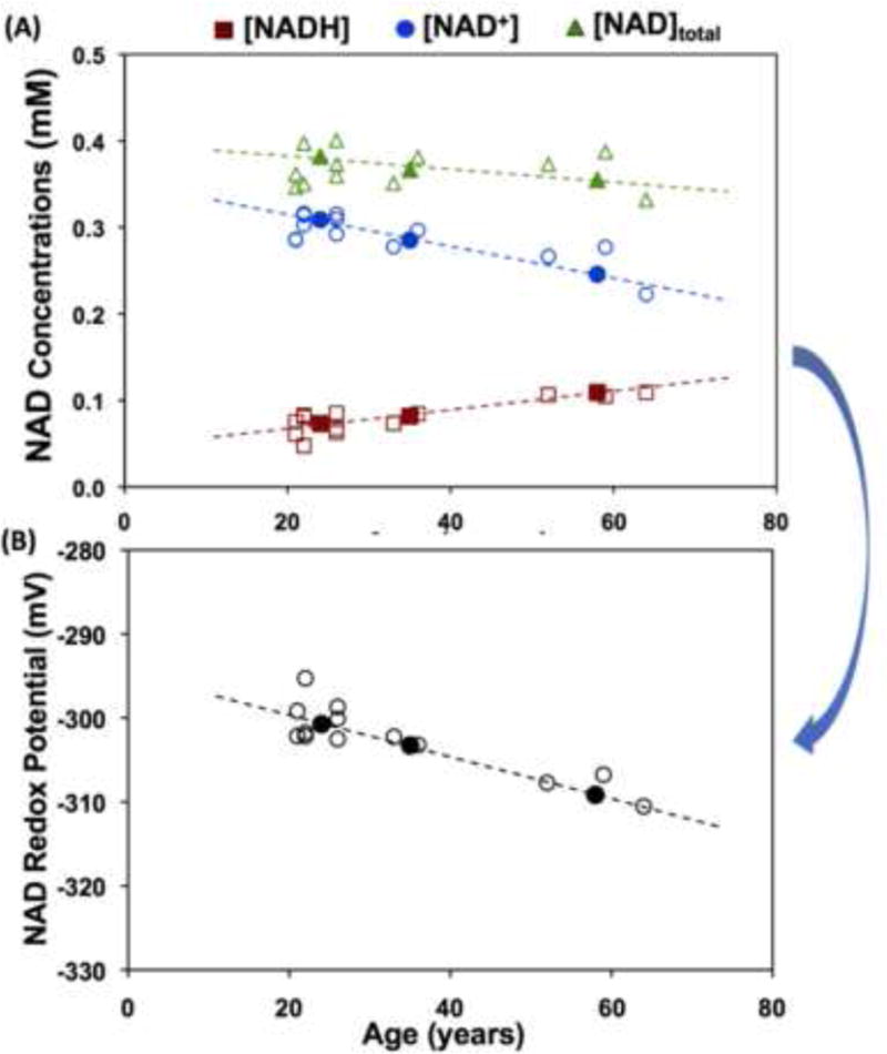 Fig. 10