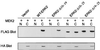 FIG. 6