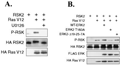 FIG. 9