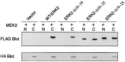 FIG. 6