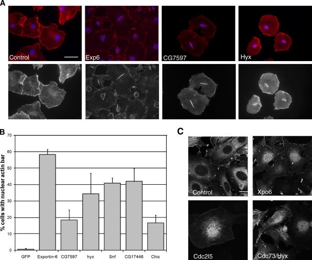 Figure 6.