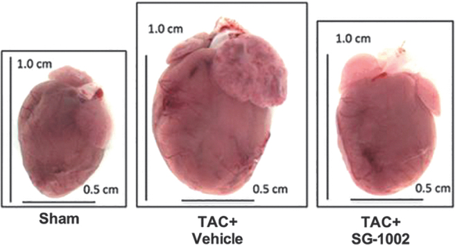 FIG. 10.