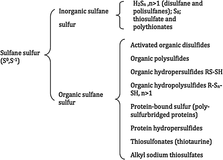 APPENDIX FIG. A1.