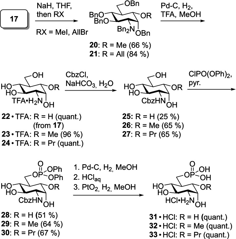 Scheme 6