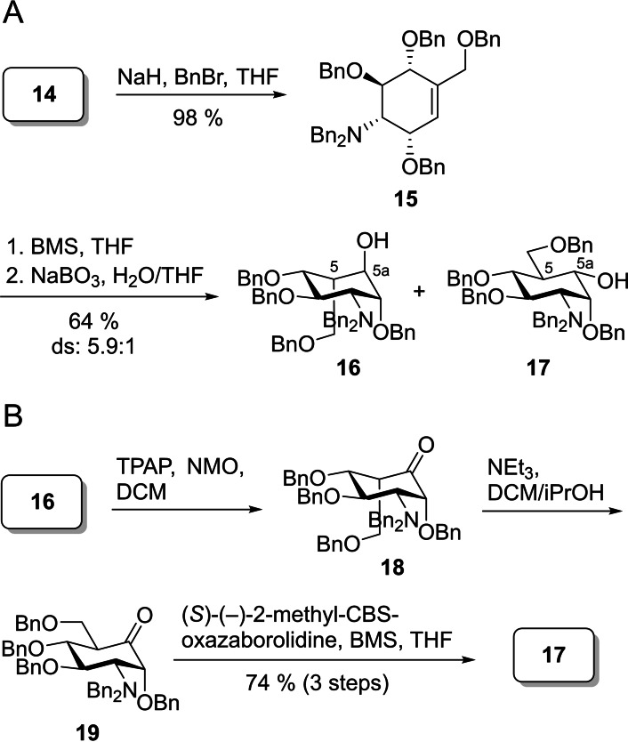 Scheme 5