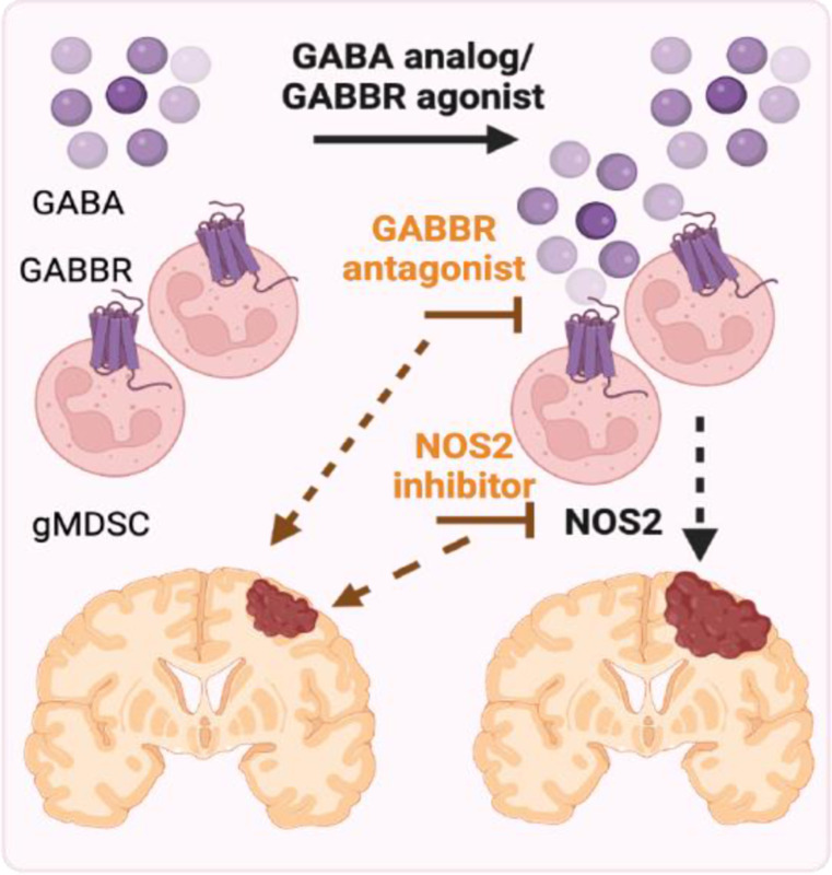 Figure 5: