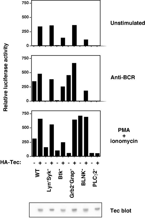 FIG. 6.