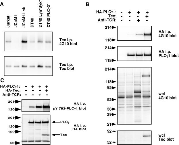 FIG. 7.