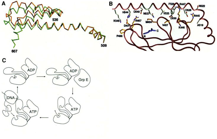 Fig. 5