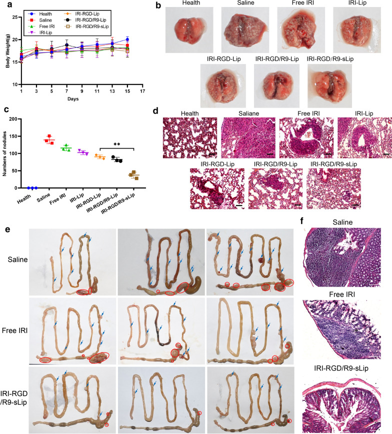 Fig. 10