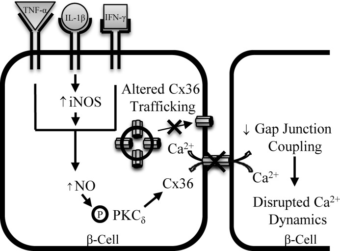 FIGURE 9.