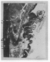 346