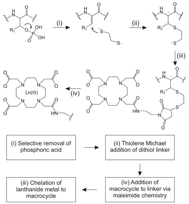 Scheme 2