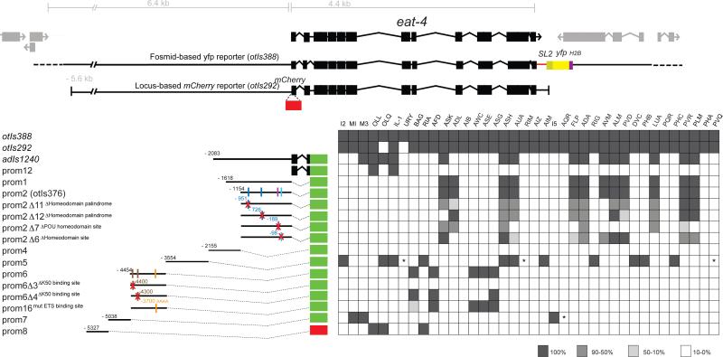 Fig.2