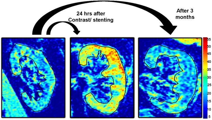 FIGURE 1: