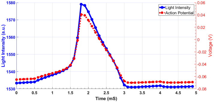 Figure 5