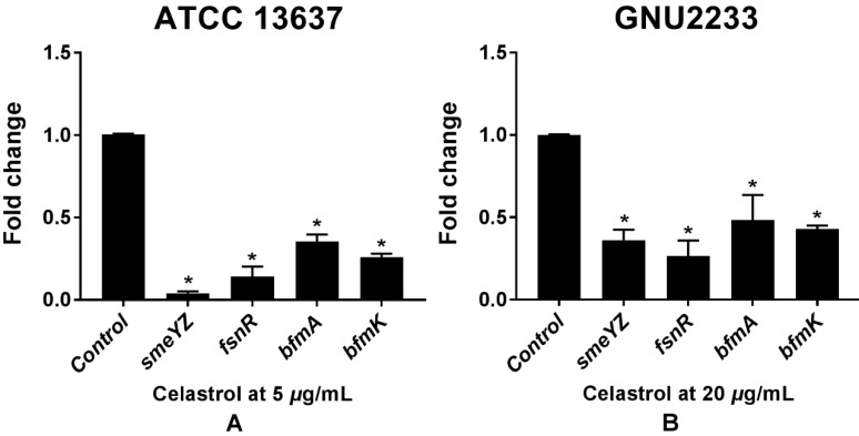 Figure 7