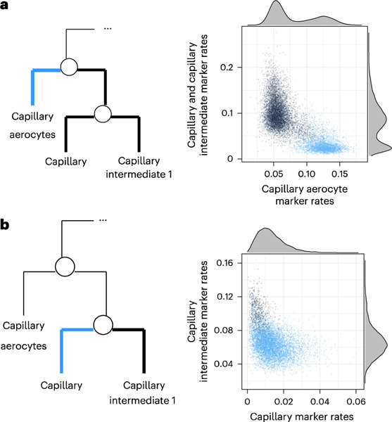 Fig. 4 |