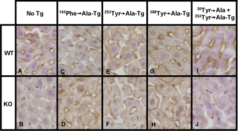 FIGURE 12.