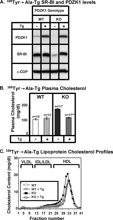 FIGURE 10.