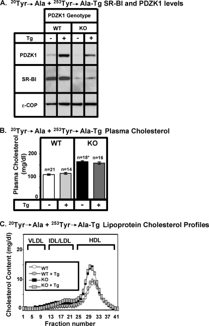 FIGURE 11.