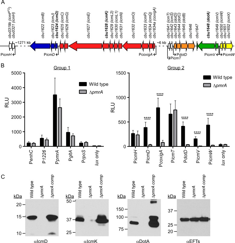 FIG 3