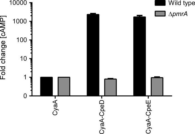 FIG 5