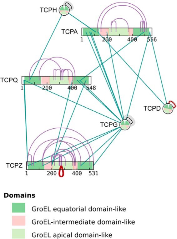 Fig. 8.