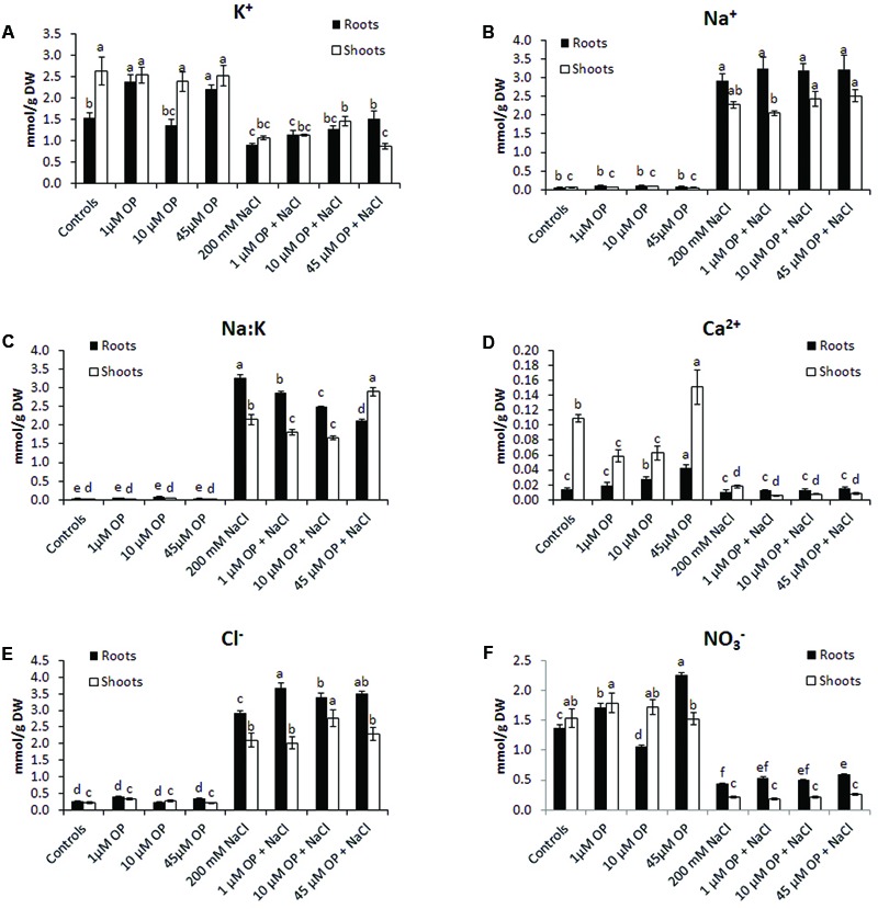 FIGURE 4