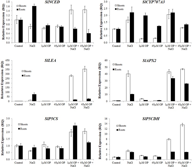 FIGURE 6