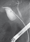 Fig. 3