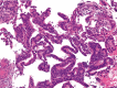 Fig. 4