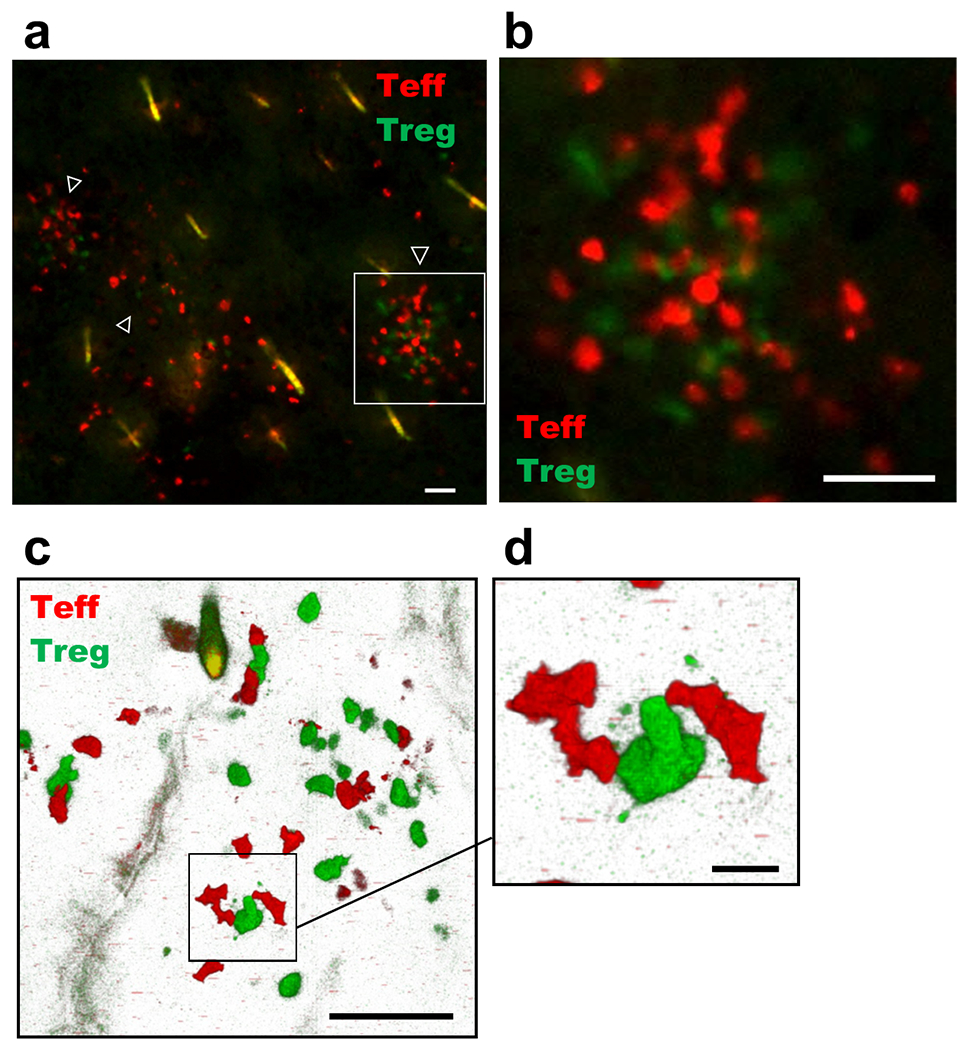 Figure 3: