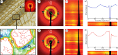 Directional anisotropy of 2.5-dimensional-printed chitosan-based constructs.