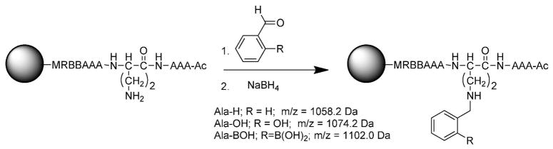 Scheme 3