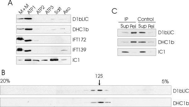 Figure 9.