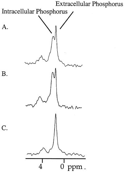 FIG. 5