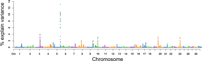 Figure 7