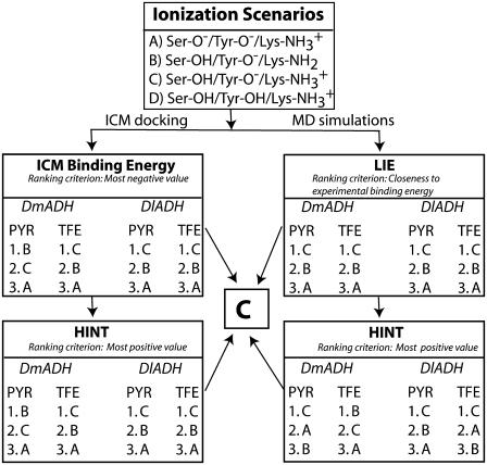 SCHEME 2