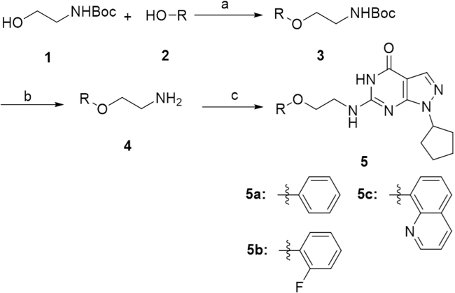 Scheme 1