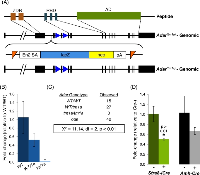 Figure 3.