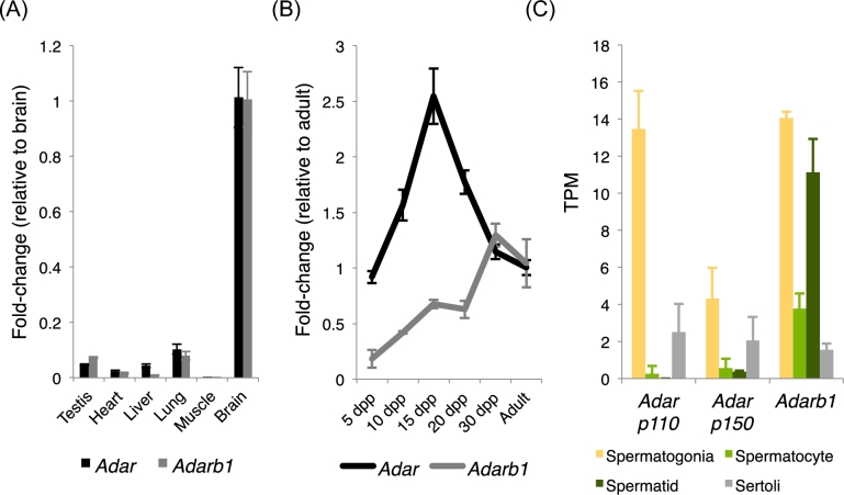 Figure 2.