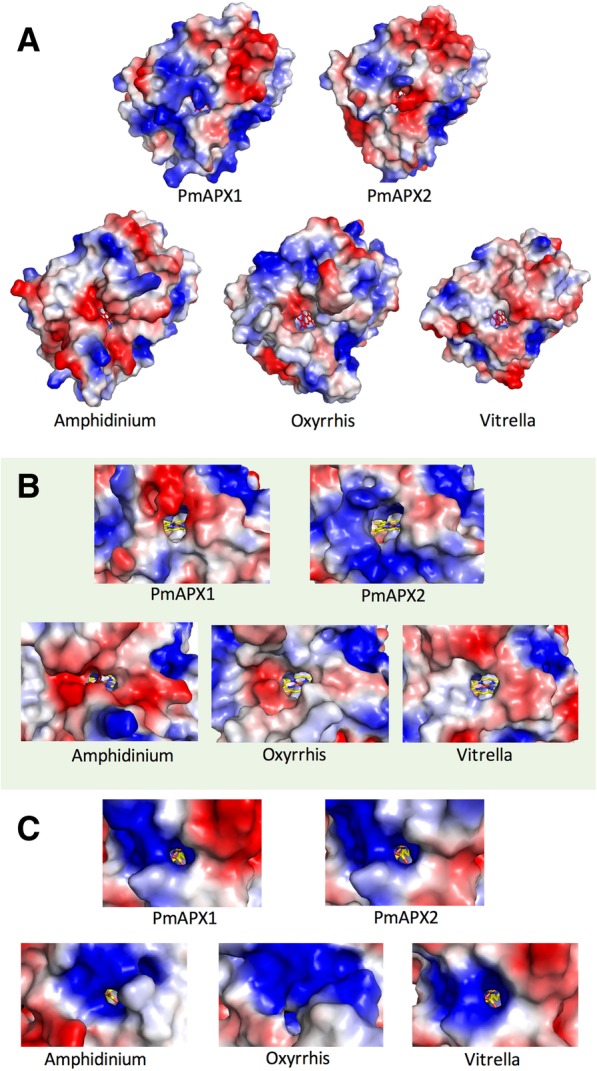 Fig. 8