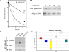 Figure 2 A-C