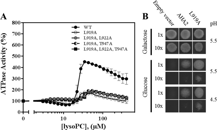 FIGURE 4.