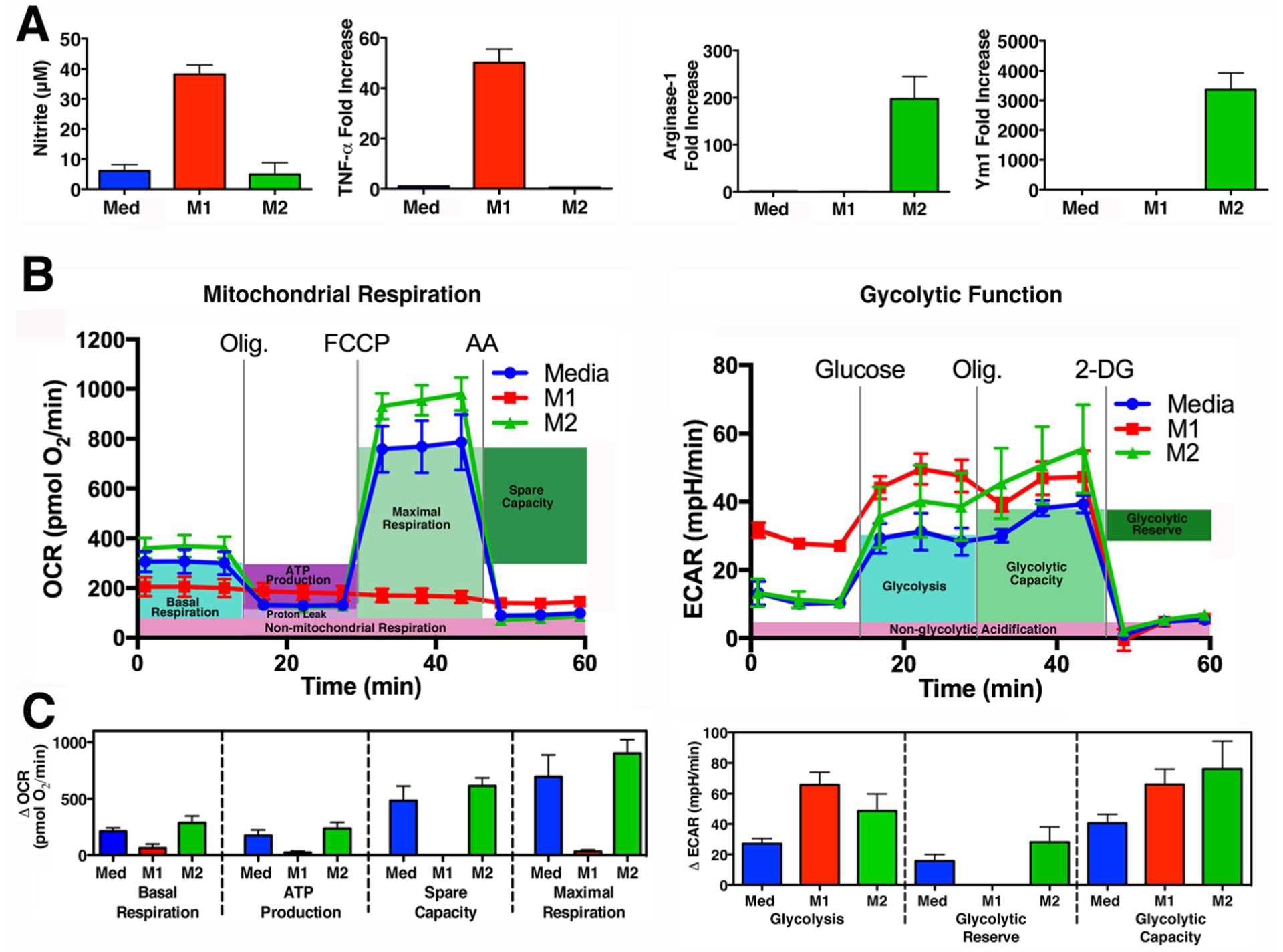 Figure 2: