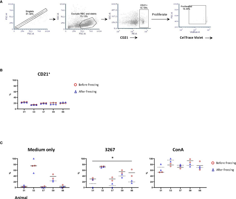 Figure 3