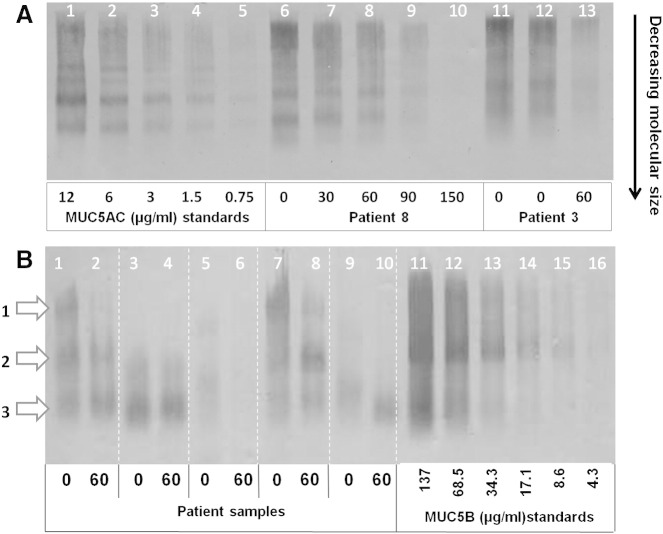 Fig. 3